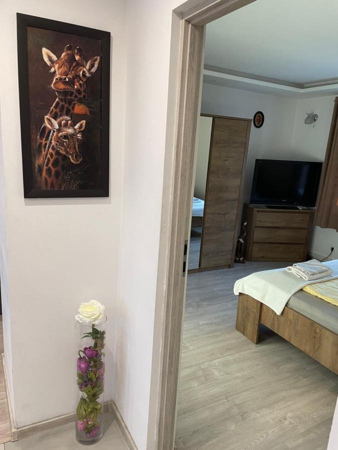 Prestige Apartament Elblag Exteriör bild
